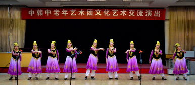 中韓中老年藝術(shù)團(tuán)文化藝術(shù)交流演出活動(dòng)紀(jì)實(shí)