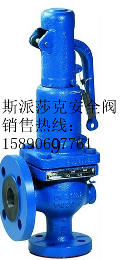 山東淄博進(jìn)口閥門辦事處 Spirax Sarco法蘭安全閥詳解